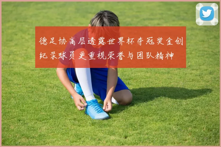 德足协高层透露世界杯夺冠奖金创纪录球员更重视荣誉与团队精神